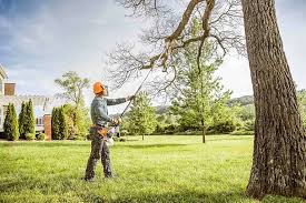 Reliable Meridian Hills, IN Tree Removal and Landscaping Services Solutions